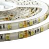 CINTA LED STANDARD 5050 SILICONADA 60L 12V BLANCO 2 3500007 CINTA LED STANDARD 5050 SILICONADA 60L 12V BLANCO 10MM