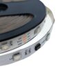 CINTA LED TIPO1H SS RGB INTELIGENTE WS2811 5050 30L 12V 4 3510002 CINTA LED TIPO1H SS RGB INTELIGENTE WS2811 5050 30L 12V 10MM