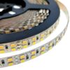CINTA LED TIPO1H 2835 SS 240L 12V DUAL CCT 3000K + 6500K 2 3510074 CINTA LED TIPO1H 2835 SS 240L 12V DUAL CCT 3000K 6500K 22W 2200LMMT PCB 10MM