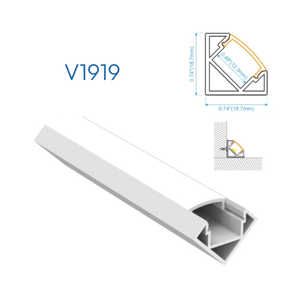 V1919