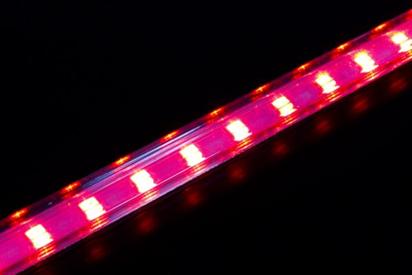 regleta led 110v transparente 60cm varios colores 2 scaled