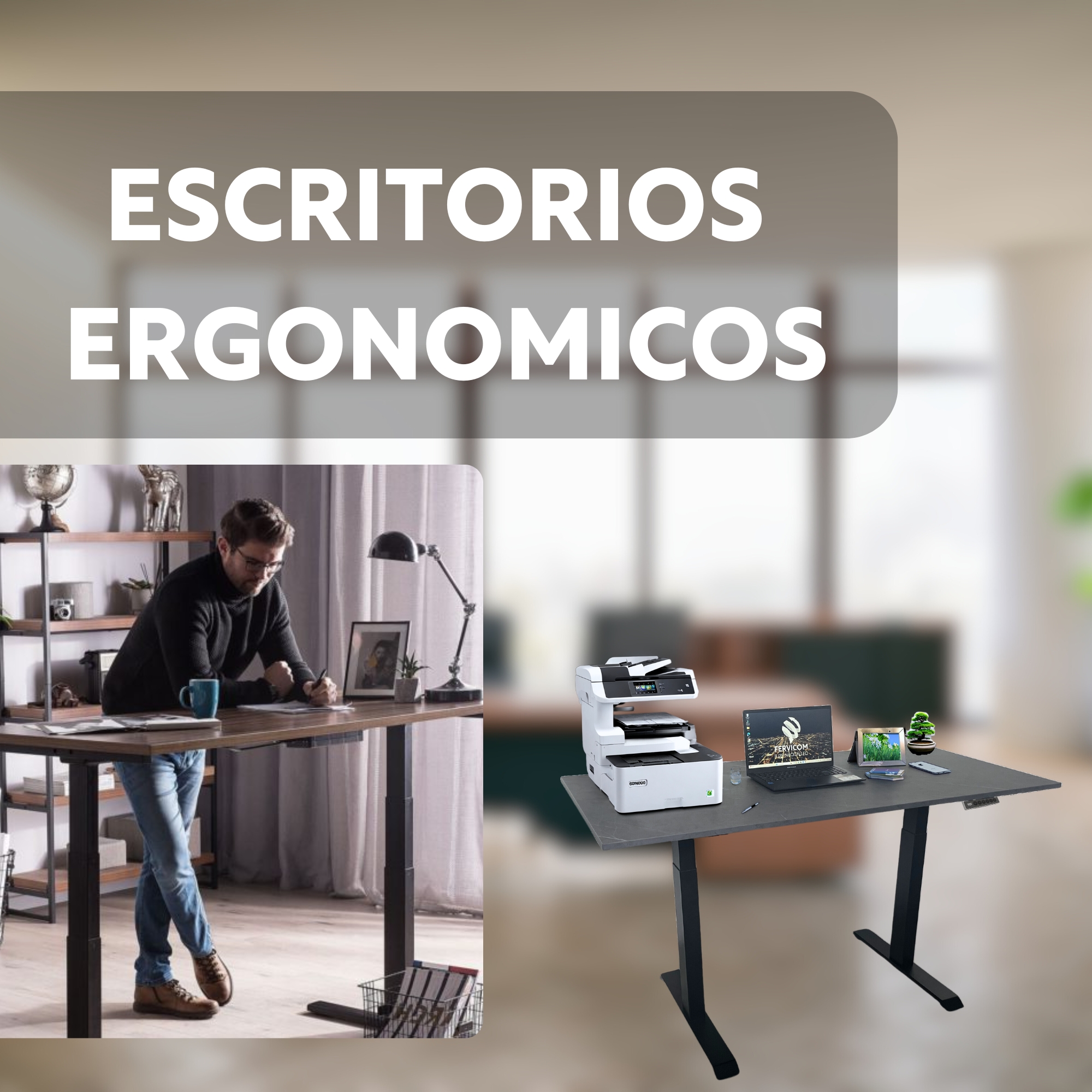 ESCRITORIO ERGONOMICO
