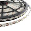 CINTA LED LUPA 2835 48L 7500K 12V 11mm 4 3540140 CINTA LED LUPA 2835 48L 12V 7500K 18W 11mm 180° X 10 METROS