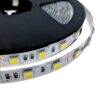 CINTA LED TIPO1H SS 5050 60L 12V 10mm 5 3510200 CINTA LED IP20 TIPO1 5050 60L 12V BLANCO 6500K 14.4W 1200LM