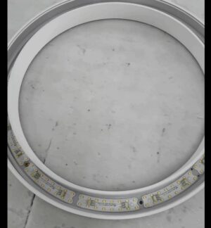 01743219038